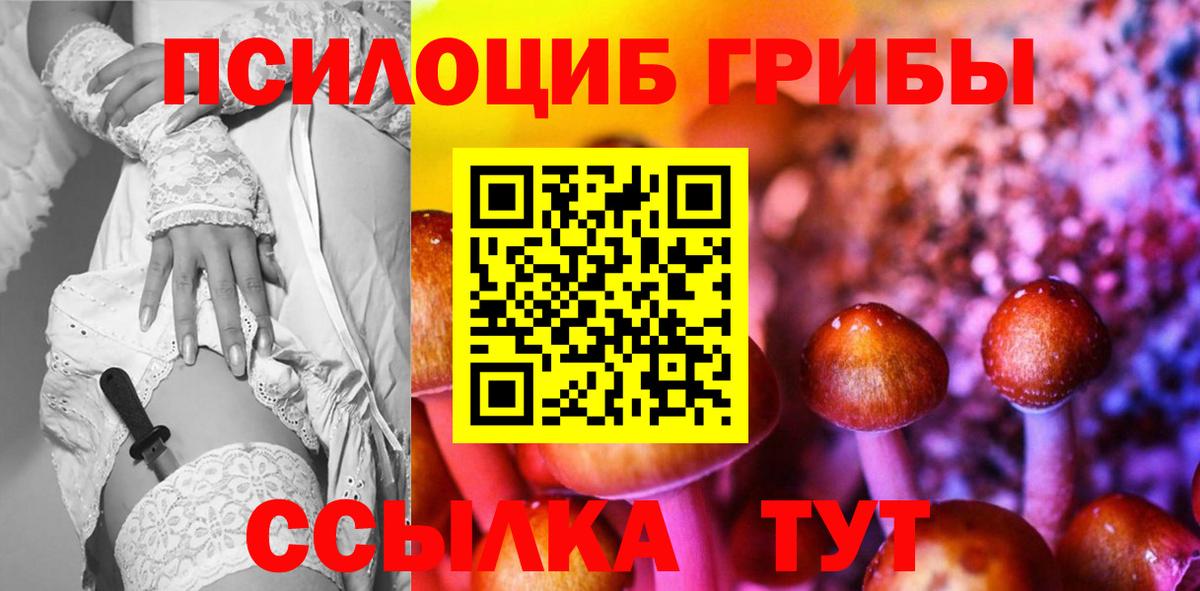 Галлюциногенные грибы Magic Shrooms Вышний Волочёк