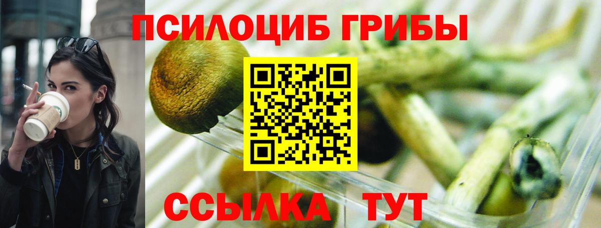 Псилоцибиновые грибы мухоморы  Псилоцибиновые грибы мицелий  как найти закладки  Вышний Волочёк  Вход с VPN 