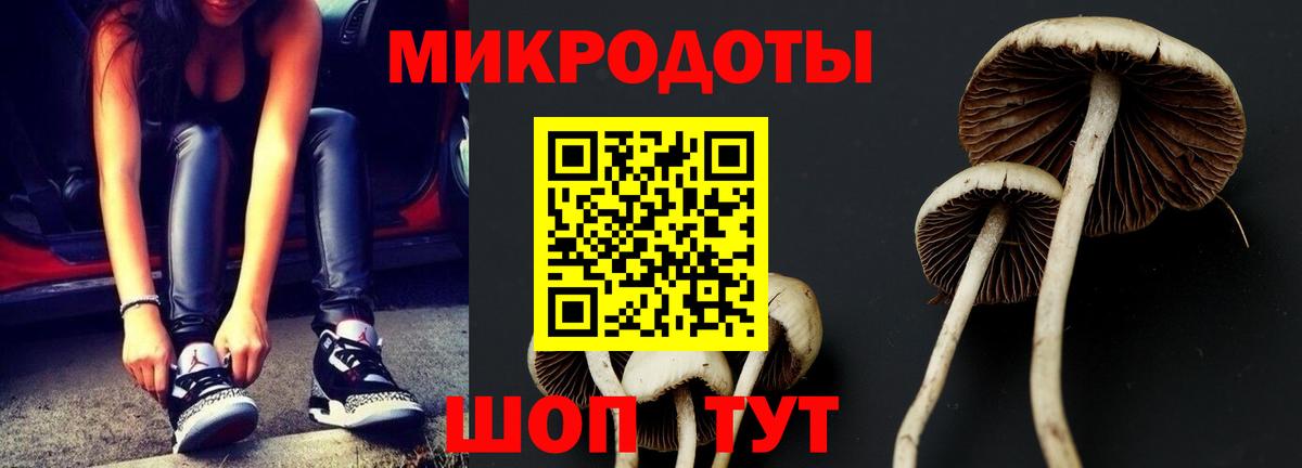 Псилоцибиновые грибы GOLDEN TEACHER Вышний Волочёк