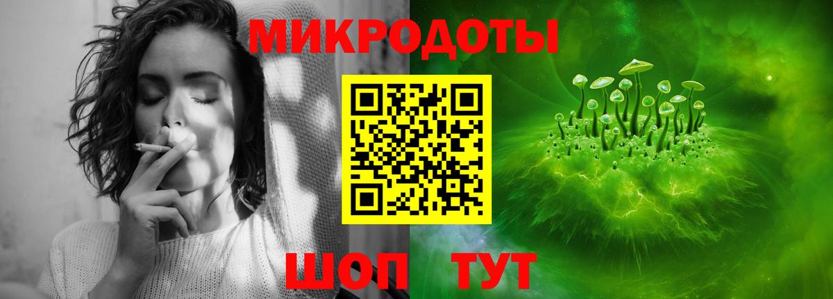 Псилоцибиновые грибы прущие грибы  Вышний Волочёк 